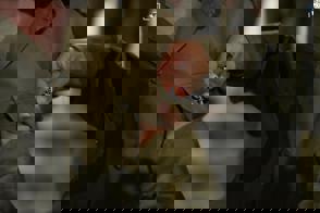 תמונה של Whatsapp‏ 2025 09 18 בשעה 14.46.18 08Dfca1a