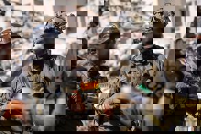 0250E7d7 E412 48A6 8A82 1Afd328ed4ac