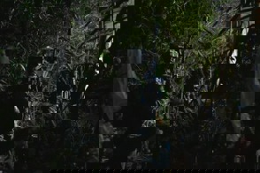 7925F5e3 4Eb8 45B8 B30f C8ca584b1728