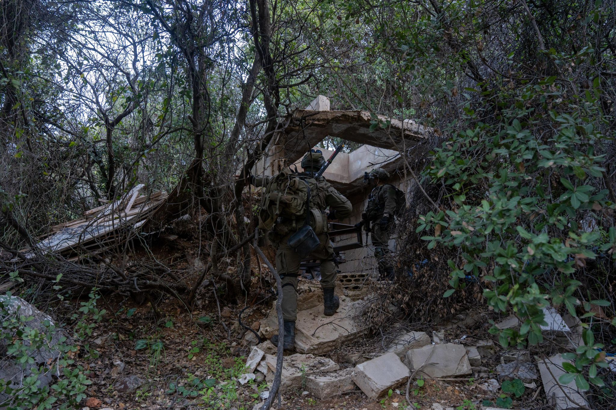 4Ef17179 Ca19 476D A261 2E1b5fae0f92