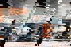 9A59ce0e 09A3 4D4a A3de 9Ad1d9ca9513