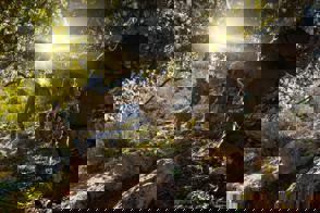 E84e69fb 549C 42Ad A624 12644210Ba6a