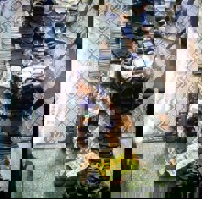 Whatsapp Image 2024 01 31 At 16.23.36