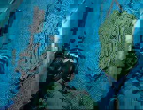 8Dab7cdd Df7f 443F 9Fb1 494Bb7d23da6