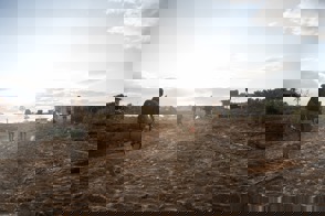 7856816C 4Ba6 4Dc8 8Ded 18C3771036aa
