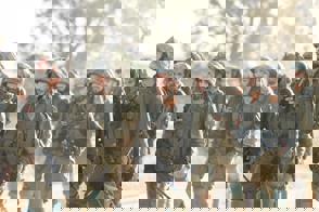 9C8ac4e0 0835 42A5 8E07 Bc65d69f2969