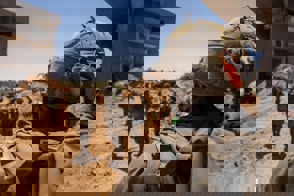 7E4e5623 D671 4C78 8660 78B0a88e740a