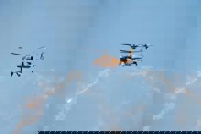 4Dc95167 1Af4 4D48 93Dd 796Cc725de10