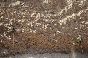 Image1 1