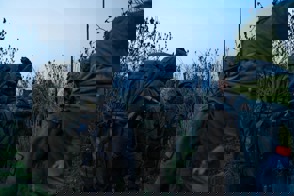 Bdc3b915 725A 4B02 974C 52Ee0481a7d5