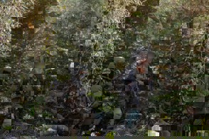 7B9e6116 0Afa 430C B307 629Defaa3981