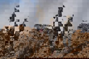 Whatsapp Image 2024 03 25 At 15.54.30