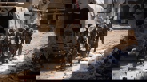 D36ce94b Ad53 44B4 9Cc2 2B7a43277c42