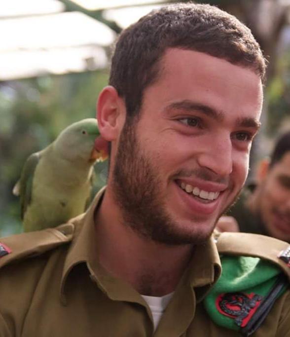 רועי צ'אפל