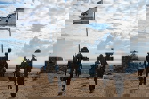 32A96b57 774B 4De2 901B 8C7f39894fc5