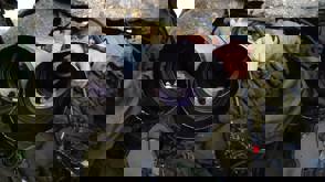 12278849 993586184021232 1160763667023550624 N