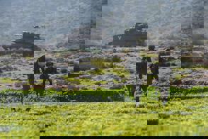 7F185375 F3e5 48E3 A178 Ff28ebba3fd3