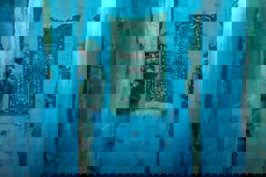 7D2fd470 0C94 40F8 9473 Dadbca781594