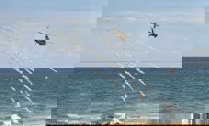 Whatsapp Image 2024 01 02 At 23.37.19 (3)