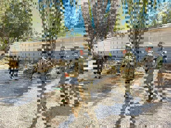 העדכונים, הכתבות, הנתונים והתיעודים | את"צ