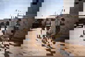 8C78200a Abff 4E48 Bb2b 50247271B2a6