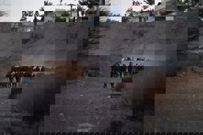 5Dd6bbf0 499A 4Bdf 9102 Ead254d6b483