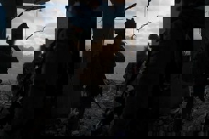 3F65bdf0 Cbef 4C89 A92c D98fd17f3474