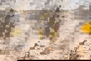 49D8d738 8931 44D7 B3d6 E3cb73d20859