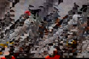 02E8f0f1 237C 4Bfe 9872 1958473E267b