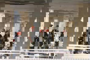 158Deaa7 12C1 4Fea Bf83 5E7513fb3200