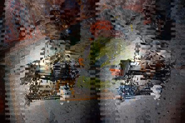 תמונה ללא תיאור