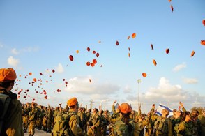 12930295383 8E8e598664 O (1)