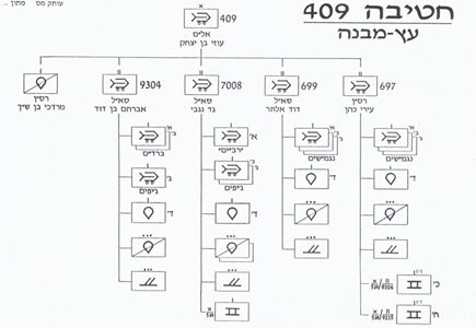 תרשים עץ חטיבה 409