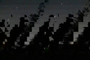 15B3f68a 44Cb 4Abd B468 3Df5f3538b5a