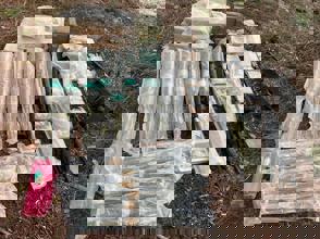 1B38e0c2 F782 4214 9D8e Cf8cb422379f