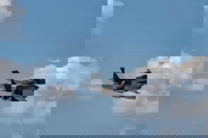 Ad64241b B958 481D 97De 5022C0a78dc3 (1)