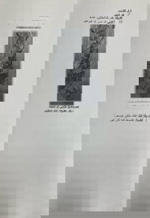 Whatsapp Image 2025 05 14 At 17.54.30