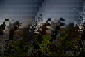 382A2a82 197A 4F98 903A Dc807d23bd05