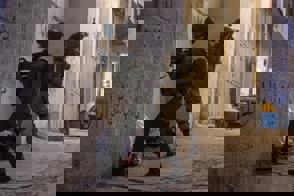 D677c063 21F7 42Db 9C3f D3847e303d0d