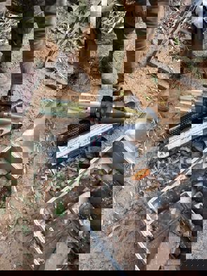 9E429dcf 6E72 48Ab A5ec 40660E82bd99 1 0