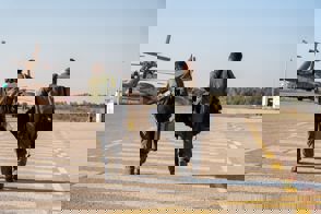 0D646c2f B501 4E73 Bcda 9F96e18493d0