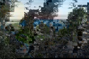 2D370d0e 4B7d 4B02 Be7d 50760167Cbef