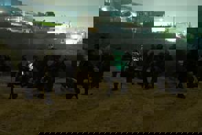 Cfa81f08 863B 4C34 A2e0 0E3048056814
