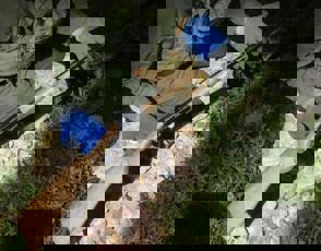 PHOTO 2023 10 02 11 02 01