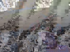 c7.0.0.0.0