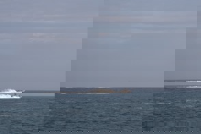 אוג146 5