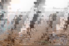 Whatsapp Image 2023 12 12 At 00.47.57