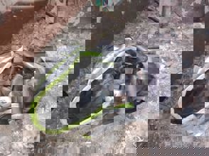 PHOTO 2023 08 17 10 07 04