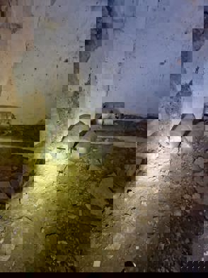 Dcb33013 F1d4 4931 8Fe5 F59e0351d8a5