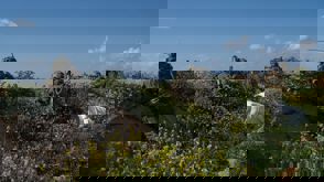 Whatsapp Image 2024 03 25 At 15.54.31